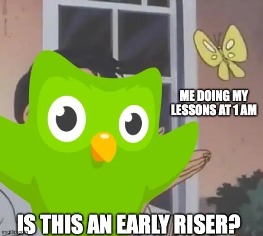 An "is this a pigeon" meme, where the original has a character misidentifying a butterfly as a pigeon.

Here, the duolingo owl is the character gesturing at the butterfly. The butterfly is labeled "me doing my lessons at 1 am". The caption says "is this an early riser?"